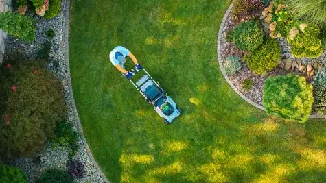 aménagement paysager Brest-5