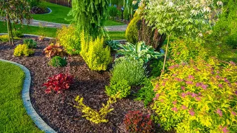 aménagement paysager Le Conquet-1