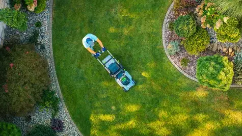 aménagement paysager à Le Conquet - image 4