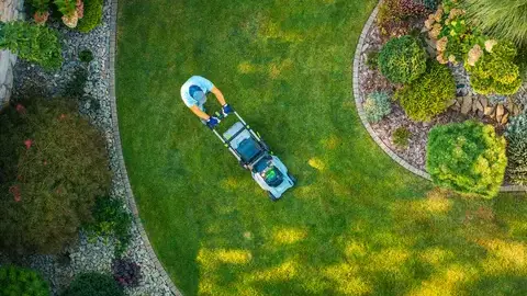 élageur à Brest - image 3