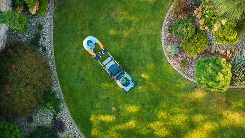 élageur Le Conquet-1