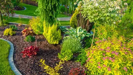 élageur Le Conquet-5