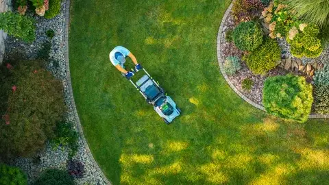 élageur Plouzané-1