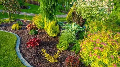 élageur à Plouzané - image 2