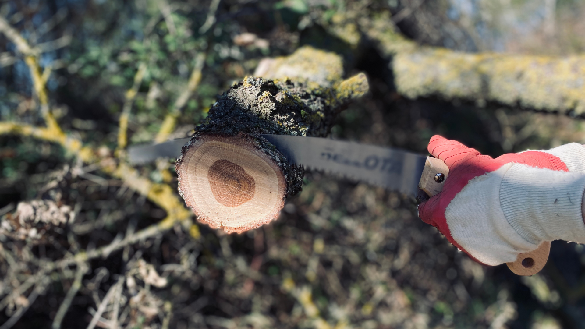 engazonnement lanrivoire