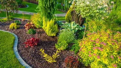 terrassement Brest-5